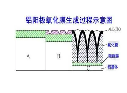 萝卜视频免费下载看片硬质阳极氧化膜生成过程